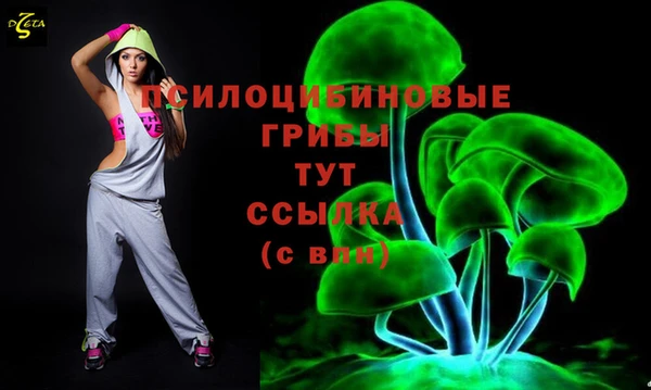 a pvp Алексин