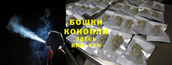 гашик Снежногорск