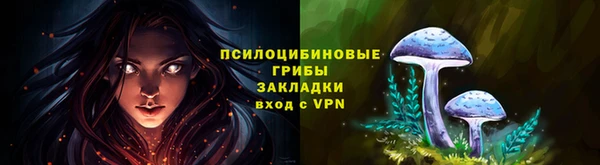 дживик Алзамай