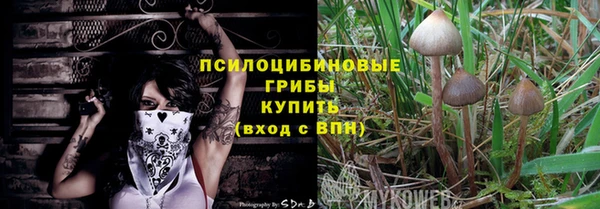 a pvp Алексин
