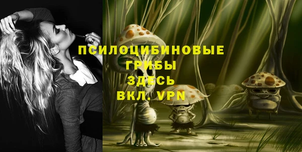 a pvp Алексин